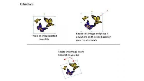 business_integration_strategy_three_butterflies_success_images_2.jpg