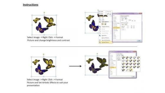 business_integration_strategy_three_butterflies_success_images_3.jpg