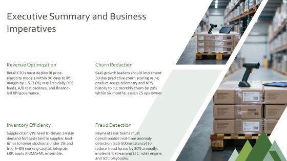 Business Intelligence Overview Presentation PPT Sample VM