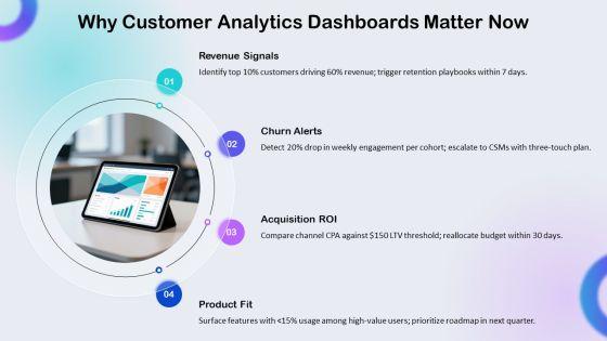 Business Performance Dashboards Snapshot With For Customer Analytics PPT Slides VM