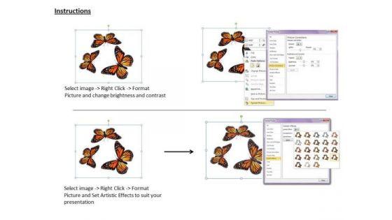 business_plan_and_strategy_three_orange_colored_butterflies_images_photos_3.jpg