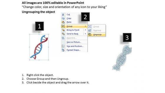 business_powerpoint_template_dna_double_structure_for_health_theme_ppt_templates_2.jpg
