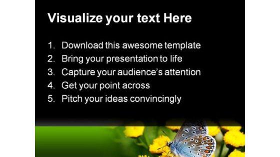 butterfly_beauty_powerpoint_templates_and_powerpoint_backgrounds_0211_text.jpg