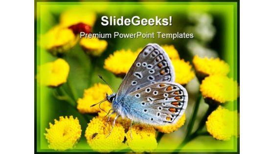 butterfly_beauty_powerpoint_templates_and_powerpoint_backgrounds_0211_title.jpg