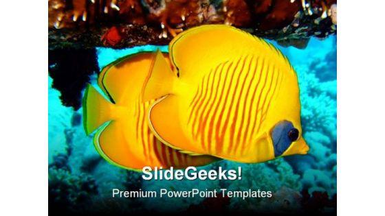 butterfly_fish_animals_powerpoint_template_0910_title.jpg