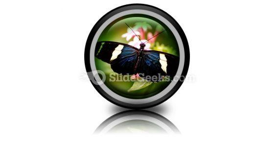 butterfly_icon_cc.jpg