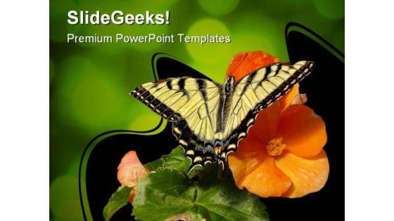 butterfly_on_orange_flower_animals_powerpoint_templates_and_powerpoint_backgrounds_0111_title.jpg