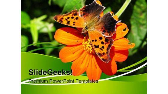 butterfly_on_orange_flower_nature_powerpoint_themes_and_powerpoint_slides_0611_title.jpg