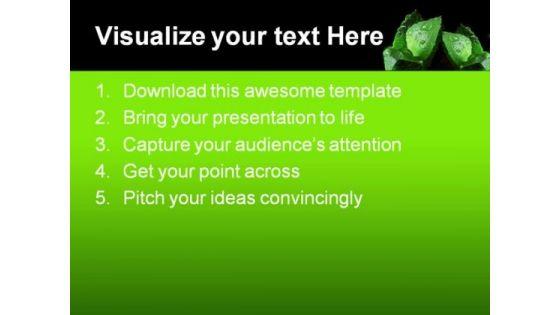 cactus_and_water_drops_nature_powerpoint_themes_and_powerpoint_slides_0611_text.jpg