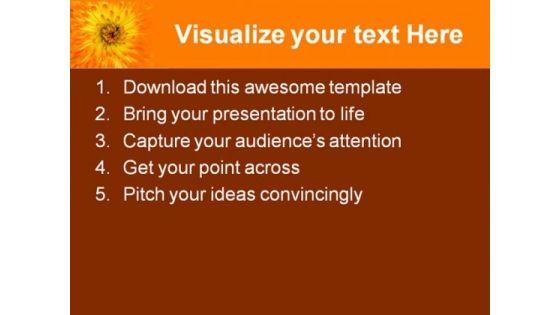calendula_background_nature_powerpoint_themes_and_powerpoint_slides_0511_text.jpg