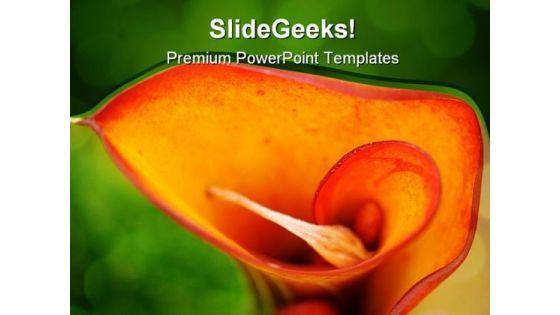 calla_lilly_beauty_powerpoint_templates_and_powerpoint_backgrounds_0211_title.jpg