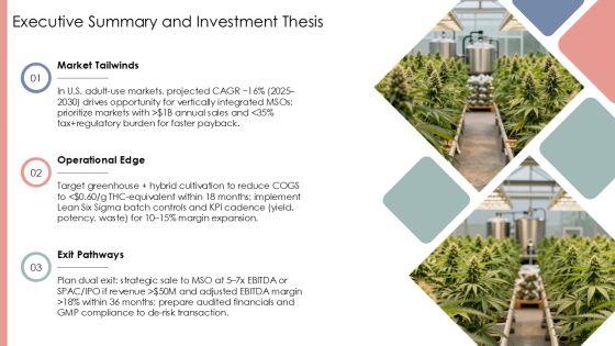 Cannabis Business Template PPT Summary VM