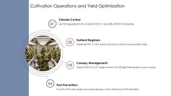 Cannabis Business Template PPT Summary VM