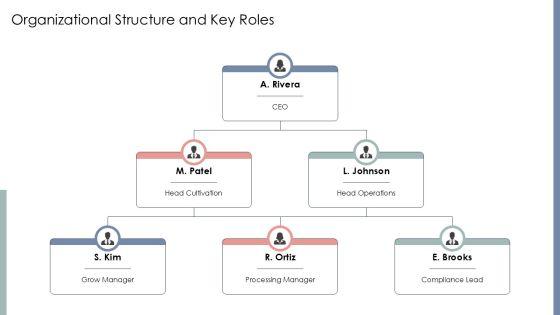 Cannabis Business Template PPT Summary VM