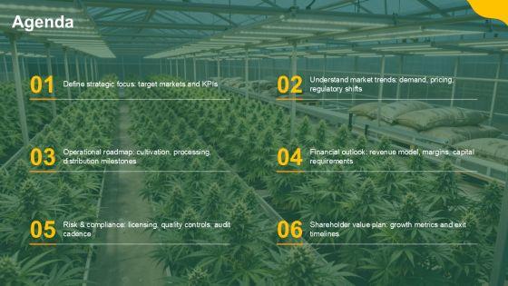 Cannabis Shareholder Presentation PPT Template VM
