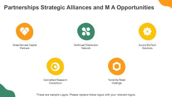 Cannabis Shareholder Presentation PPT Template VM