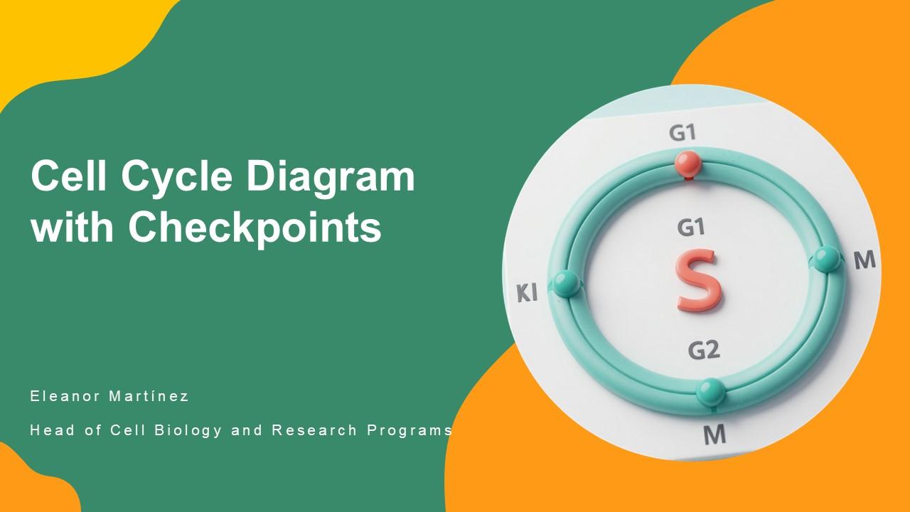 Cell Cycle Diagram With Checkpoints PPT Summary VM