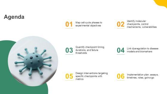 Cell Cycle Diagram With Checkpoints PPT Summary VM