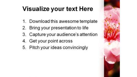 cherry_blossoms_nature_powerpoint_templates_and_powerpoint_backgrounds_0311_print.jpg