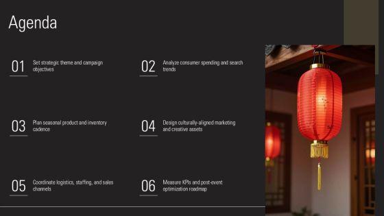 Chinese New Year PPT PPT Sample VM