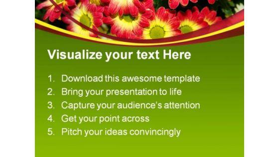 chrysanthemum_flower_nature_powerpoint_templates_and_powerpoint_backgrounds_0211_text.jpg
