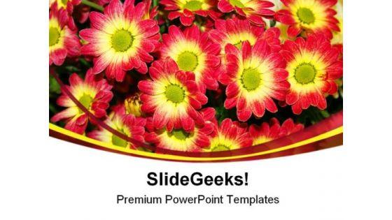 chrysanthemum_flower_nature_powerpoint_templates_and_powerpoint_backgrounds_0211_title.jpg