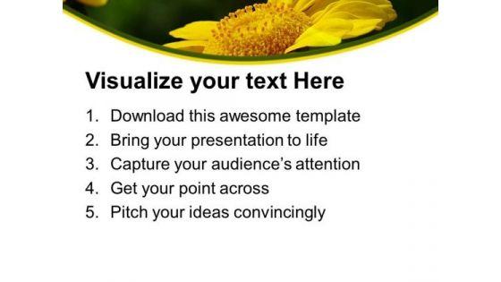 chrysanthemum_perennial_flowering_plants_powerpoint_templates_ppt_backgrounds_for_slides_0513_print.jpg