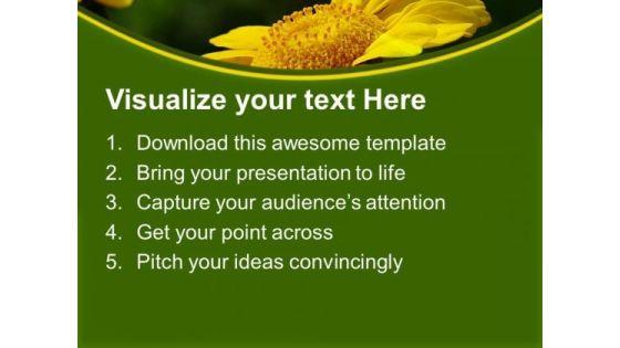 chrysanthemum_perennial_flowering_plants_powerpoint_templates_ppt_backgrounds_for_slides_0513_text.jpg