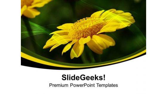 chrysanthemum_perennial_flowering_plants_powerpoint_templates_ppt_backgrounds_for_slides_0513_title.jpg