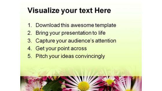 chrysanthemums_nature_powerpoint_templates_and_powerpoint_backgrounds_0311_print.jpg