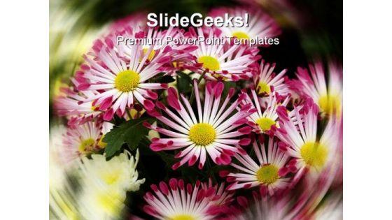 chrysanthemums_nature_powerpoint_templates_and_powerpoint_backgrounds_0311_title.jpg