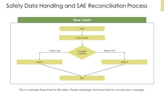 Clinical Data Management Process Flow PPT Structure VM