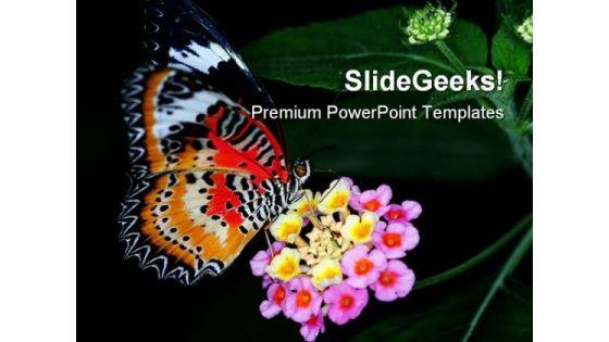 colorful_butterfly_animals_powerpoint_templates_and_powerpoint_backgrounds_0211_title.jpg