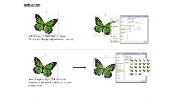company_business_strategy_3d_render_of_butterfly_best_stock_photos_3.jpg