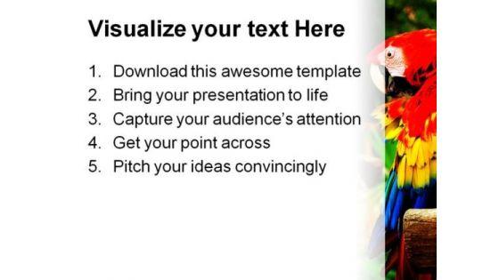 couple_of_parrots_nature_powerpoint_templates_and_powerpoint_backgrounds_0211_print.jpg
