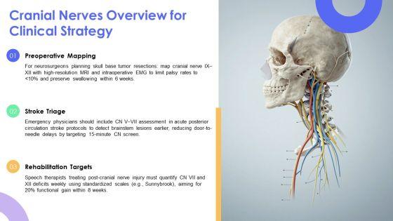 Cranial Nerves Brain Diagram PPT Information VM