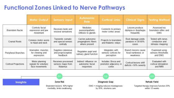 Cranial Nerves Brain Diagram PPT Information VM