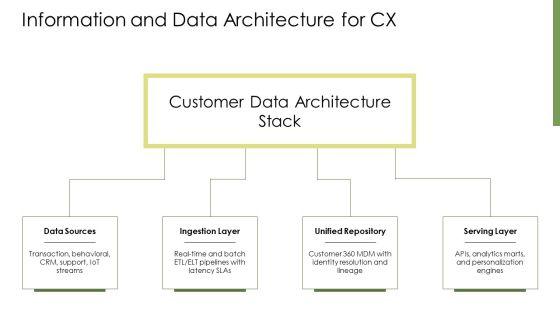 Customer Experience Architecture PPT Information VM
