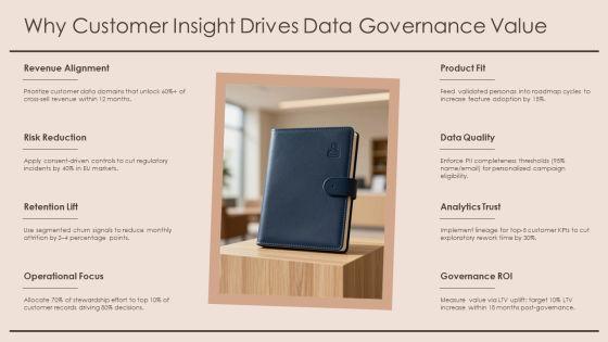 Customer Insight For Data Governance PPT Example VM