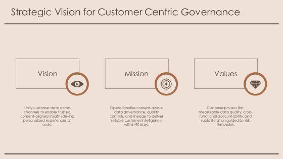 Customer Insight For Data Governance PPT Example VM