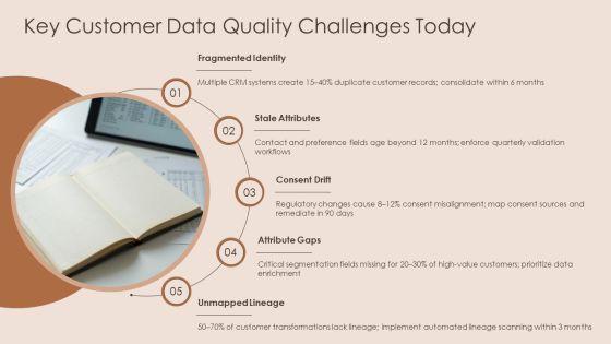 Customer Insight For Data Governance PPT Example VM