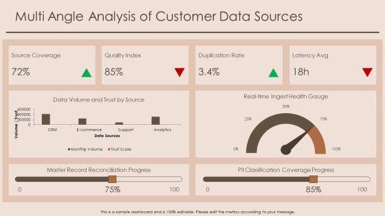 Customer Insight For Data Governance PPT Example VM