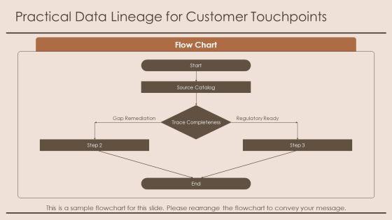Customer Insight For Data Governance PPT Example VM