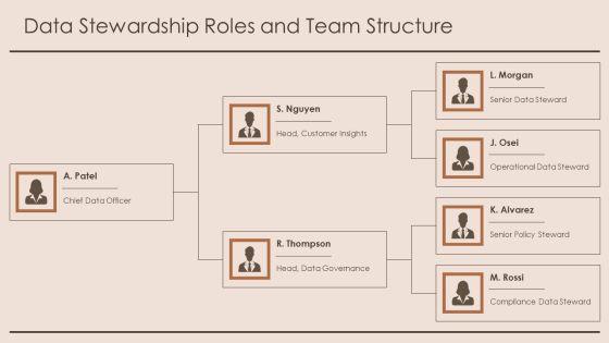 Customer Insight For Data Governance PPT Example VM