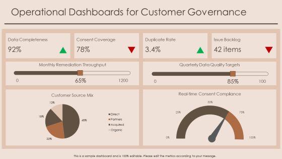 Customer Insight For Data Governance PPT Example VM