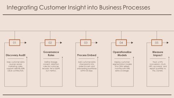 Customer Insight For Data Governance PPT Example VM