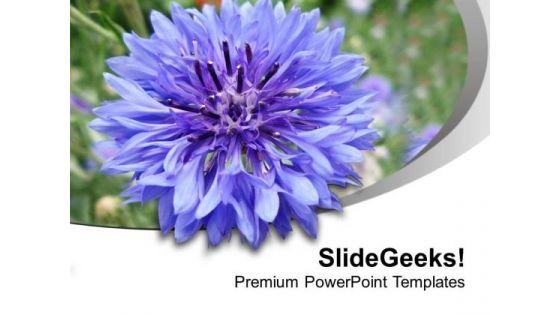 dahelia_flower_with_abstract_design_powerpoint_templates_ppt_backgrounds_for_slides_0613_title.jpg