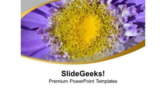 daheliya_flower_background_bright_color_theme_powerpoint_templates_ppt_backgrounds_for_slides_0513_title.jpg