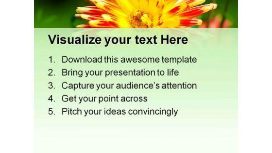 dahlia_nature_beauty_powerpoint_templates_and_powerpoint_backgrounds_0211_print.jpg