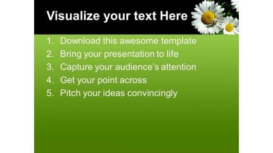 daisy_the_beauty_of_nature_powerpoint_templates_ppt_backgrounds_for_slides_0613_text.jpg
